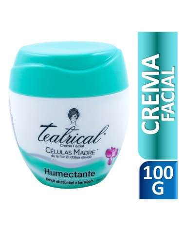 Teatrical Crema Facial Humectante 100 G Teatrical - 1